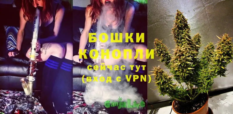 Шишки марихуана Ganja  Шумерля 